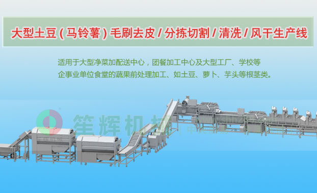 莱州连续式土豆去皮清洗切割风干生产线